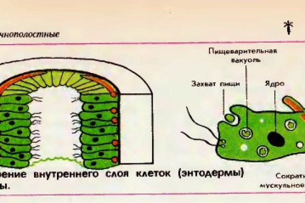 Кракен зеркало сайта vtor run